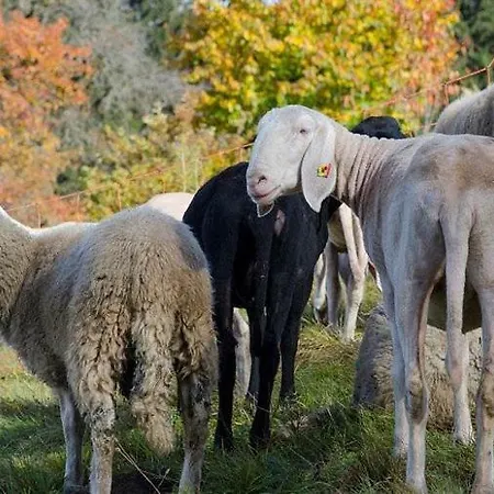 شقة Bio-bauernhof Greiml غوربمينغ