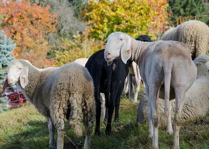 דירה Bio-bauernhof Greiml גרובמינג