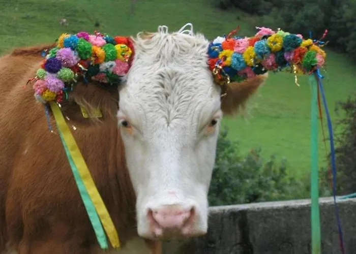 Bio-bauernhof Greiml דירה